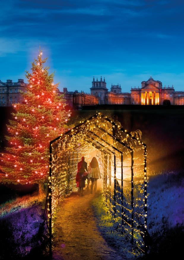 Oxford Mail: Christmas lights at Blenheim Palace.